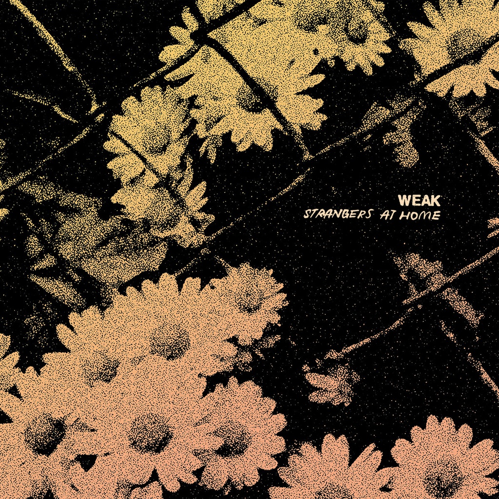 WEAK - Strangers at home