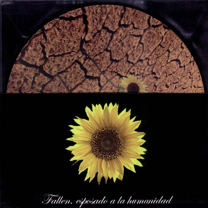 [DD-LP0559] Fallen - Esposado a la humanidad.