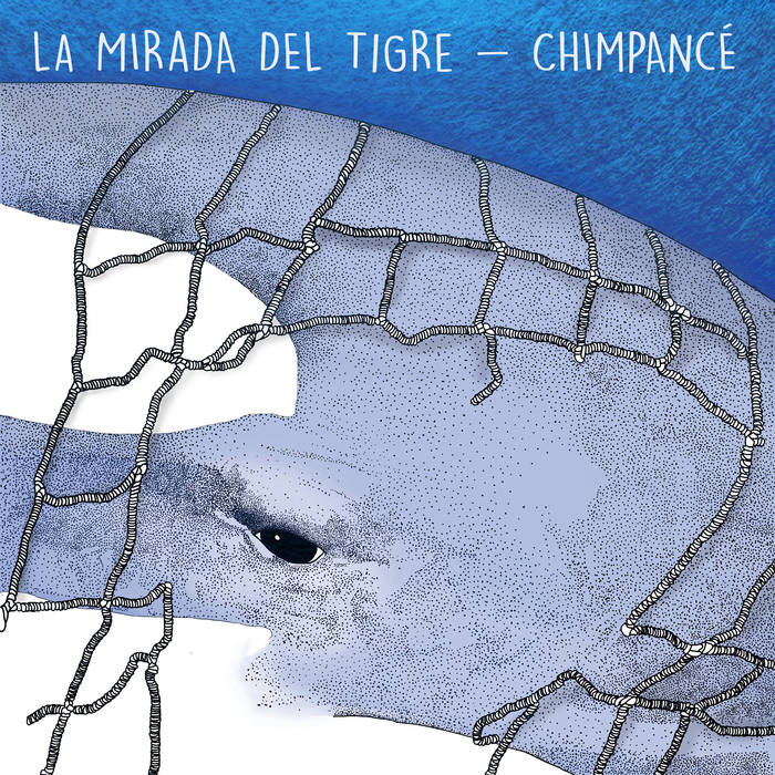 [DD-LP3268] La mirada del tigre - Chimpancé