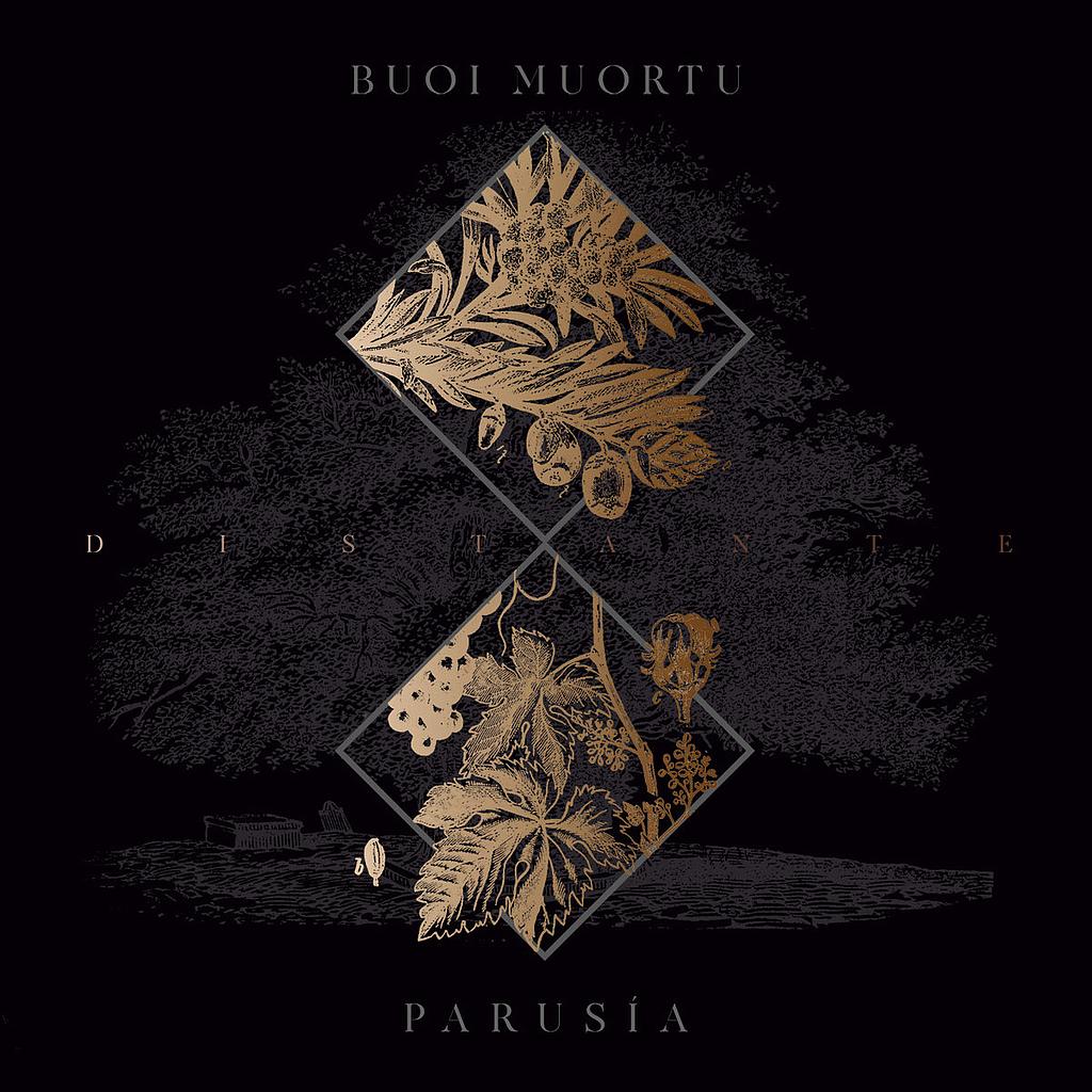 [DD-LP3820] Buoi Muortu / Parusia