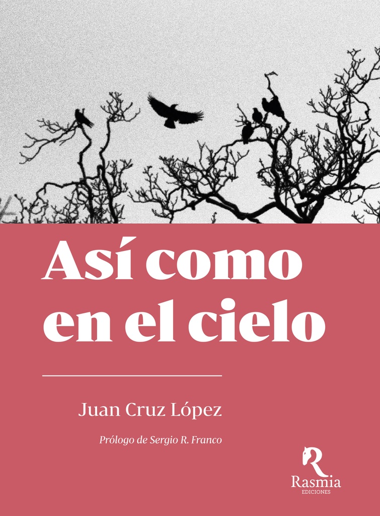 [9788412508765] ASÍ COMO EN EL CIELO