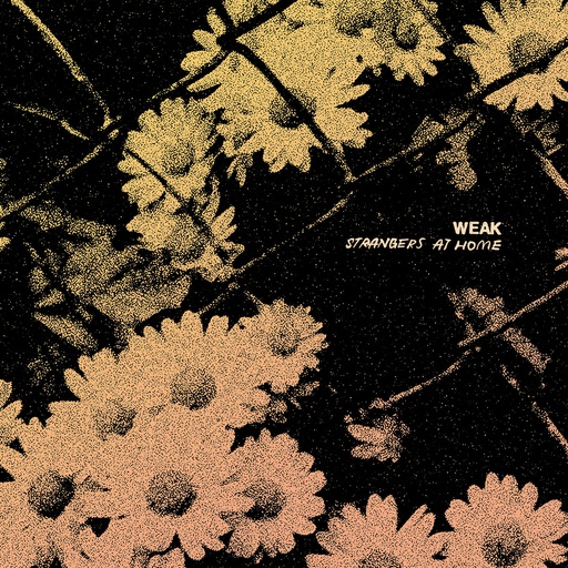 [DD-LP4160] WEAK - Strangers at home