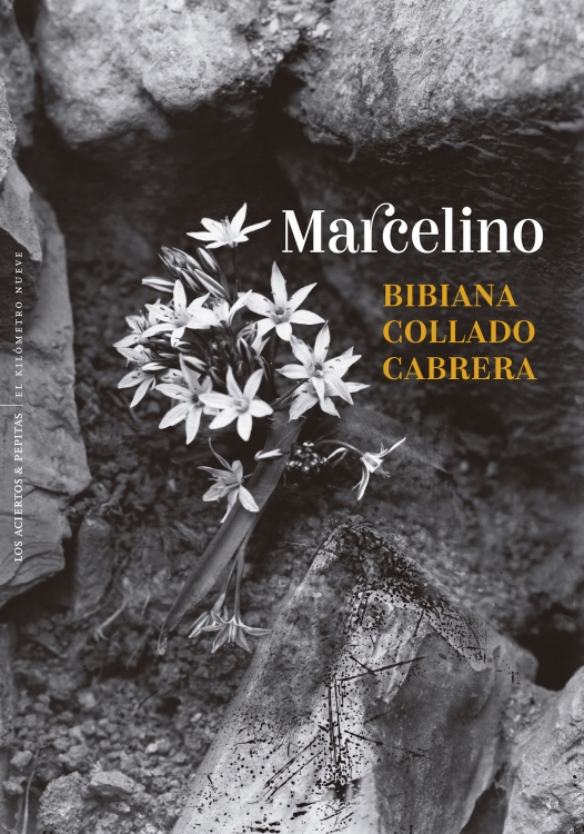 [978-84-10476-43-1] Marcelino