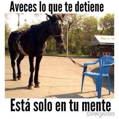 Auzogestioa da bide bakarra